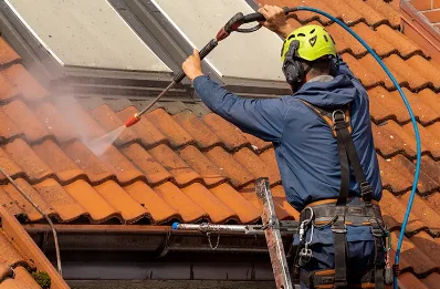 Démoussage et hydrofuge de toiture à Palleville